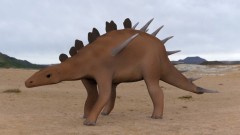 Torben Au - Kentrosaurus
