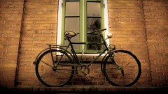 Maximilian Leist - Wallriding