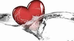 Waterlove