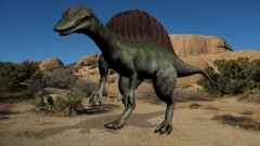 Torben Au - Spinosaurus